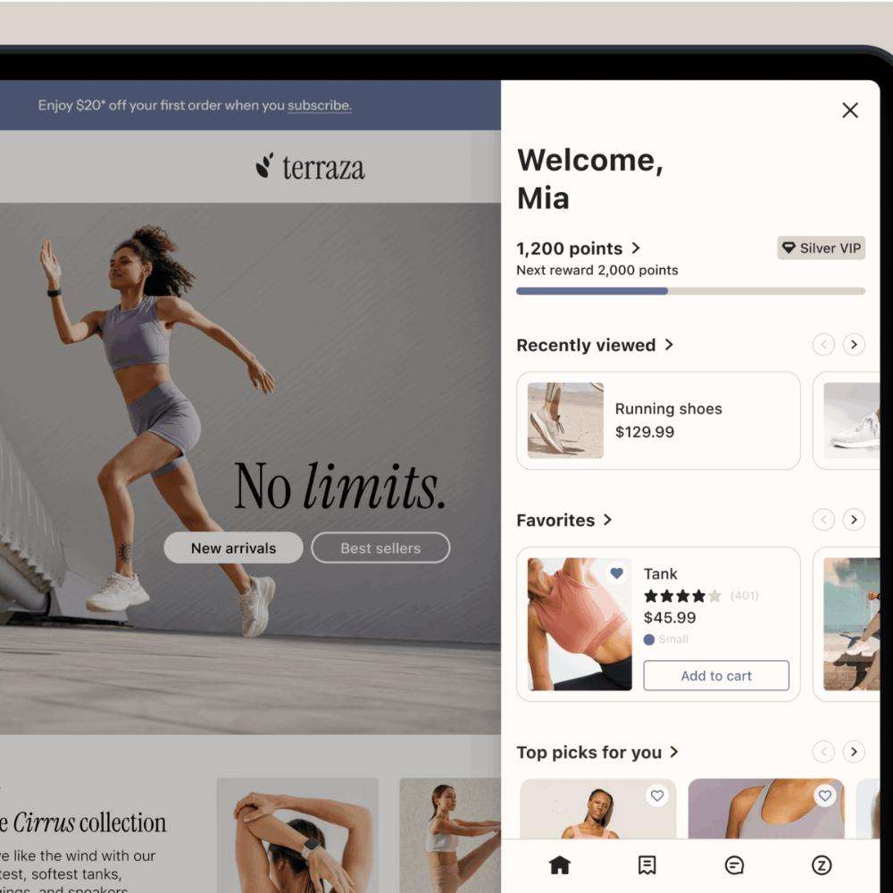 Klaviyo Customer Hub Screenshot